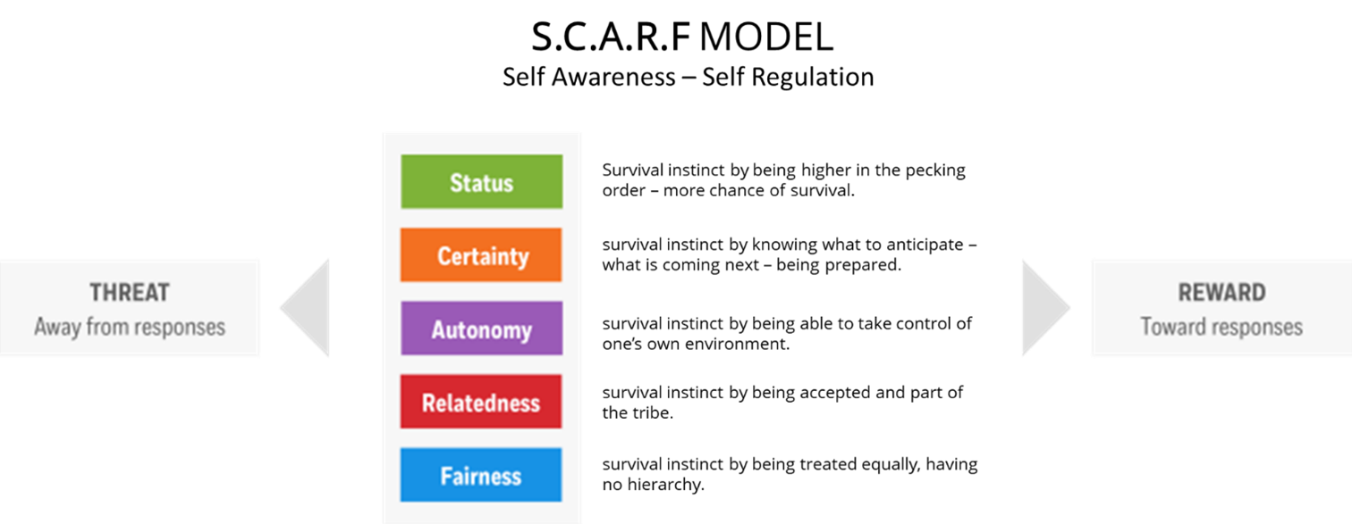 Self Regulation Synergogy